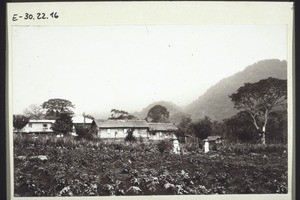 Mission station Nyasoso (Cameroon) seen from behind. Mission garden. - Mrs Dorsch and Mrs Basedow