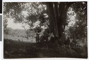 Rest under a fig tree, Ethiopia