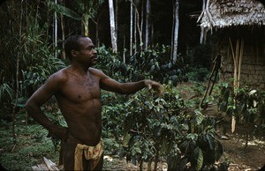 The Pygmy chief, Ngambé-Tikar, Centre Region, Cameroon, 1953-1968