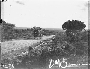 Cart on a road, Limpopo, South Africa, ca. 1901-1915