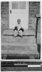 Boy with two puppies, Yeng You, Korea, ca. 1920-1940