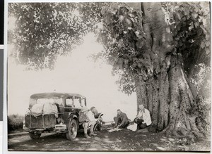 Picnic under a tree, 1938