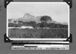 Landscape, Stellenbosch, South Africa, 1930