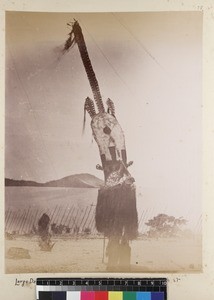 Portrait of man wearing ceremonial mask, Papua New Guinea, ca. 1890