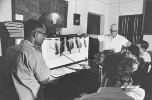 Union Mission Tuberculosis Sanatorium, Arogyavaram (UMTS), Andhra Pradesh, Sydindien. Dr. Johs. Frimodt-Møller og dr. Parthasarathy underviser en gruppe tyske læger og studenter. Institut for lægemission (Tübingen) sender sådanne studiehold til Indien, hvor de gennem 3 måneder gør tjeneste ved forskellige hospitaler, afsluttende med en uges kursus på sanatoriet. Man bidrager på den måde til at henlede læger og lægestuderendes opmærksomhed på indiske forhold og behov