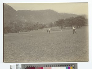 Field, Himachal Pradesh, India, ca.1910