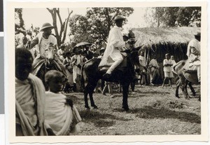 The mule of a bridesman bucks, Ayra, Ethiopia, 1952