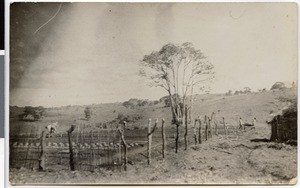 Garden of the mission station, Ayra, Ethiopia, 1928