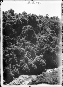 Mountain brook, Tanzania, ca.1893-1920