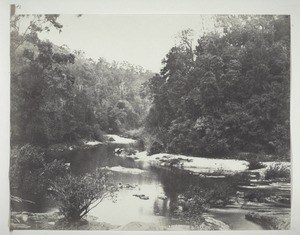 Forest scene in Kurg, 1. From the bridge over the stony river which forms the boundary between Kanara and Malabar