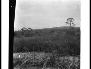 Landscape on the Ga Plains. Legong Hill