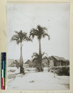 Village in the Midongy district, Madagascar, ca.1912