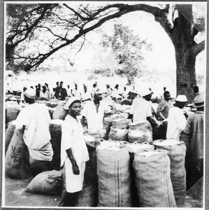 Men with sacks of cotton, Pare, Tanzania, ca.1927-1938