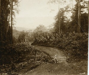 Road from Eseka to Lolodorf, in Cameroon