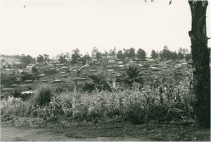 Bangangte, in Cameroon