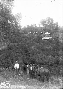 African men with horses, Kouroulene, South Africa, ca. 1896-1911