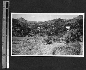 Forest land at Fukien Christian University, Fuzhou, Fujian, China, ca.1937