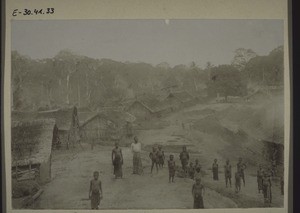 Bombe village, Cameroon. Mango tree