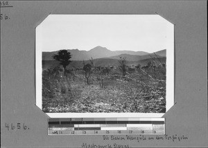 Landscape view of the Mbeya mountains, Utengule, Tanzania