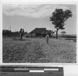 A farmer at his home in Shanghai, China, 1946