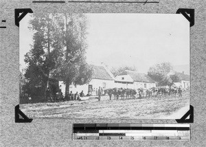 Mill and ox-drawn wagon, Clarkson, South Africa