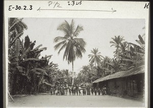 Dorfstrasse, Pisang u. Oelpalmen. (Duala)