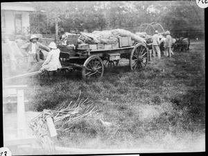 A waggon loaded with baggage, Tanzania, ca.1907-1930