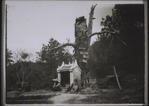 A field deity with a sacred tree and votive inscriptions with mottos like 'He who asks will be heard' etc