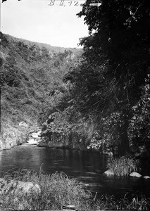 Mountain brook, Tanzania, ca.1893-1920