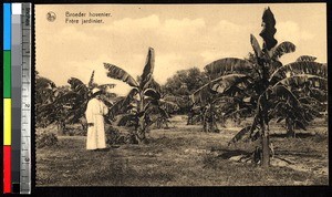 Monk in his garden, India, ca.1920-1940