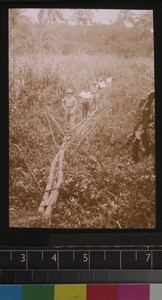 Missionary party travelling, Sierra Leone ca. 1927-28