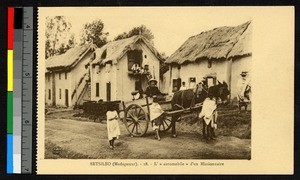 Missionary father riding a donkey-drawn cart, Madagascar, ca.1920-1940