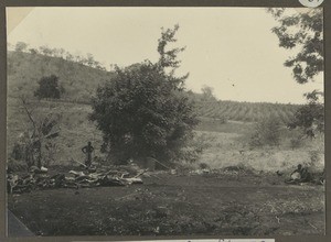 Beer brewers, Tanzania, ca.1929-1940