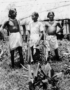 Local staff at the Mornai Tea Garden, Assam, North India