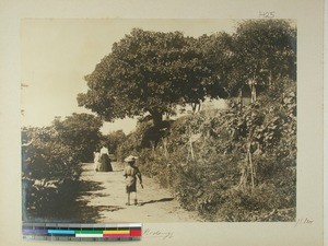 Mrs.Einrem together with her children in the Midongy garden, Madagascar, 1901