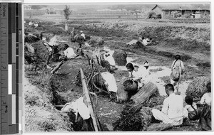 Preparing watercress for market, Korea, ca. 1920-1940