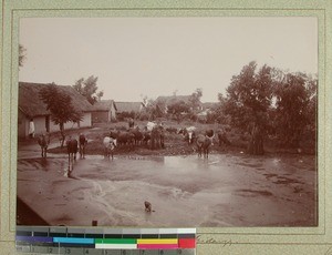 The Midongy Mission Station's backyard, Midongy, Madagascar, 1901