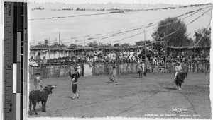 Bullfight, Mexico, ca. 1946