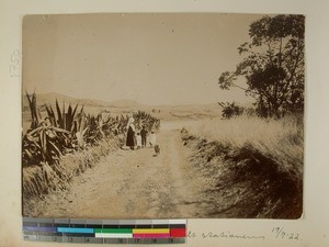 Landscape around Soavina Mission Station, Soavina, Madagascar, 1922