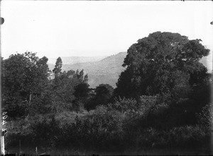 Landscape near Lemana, Limpopo, South Africa, ca. 1906-1907