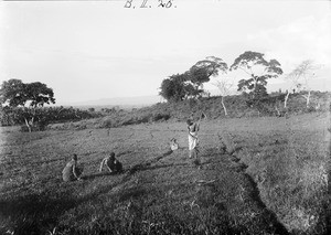 Africans working in a field, Tanzania, ca.1893-1920