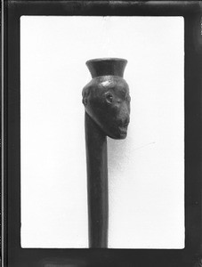 Cane handle, southern Africa