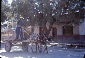 Man on wagon