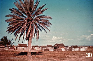 Missionens historie på Madagaskar. Landsbyen Tulear. Lysbilledserie nr. 392, 30