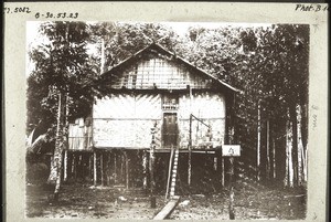 Haus eines Zauberpriesters in dem Dorf Parari