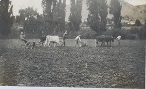 Agricultural works in the Leloaleng technical school