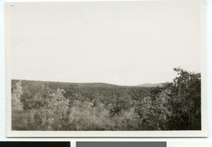 Landscape near Hebron, South Africa