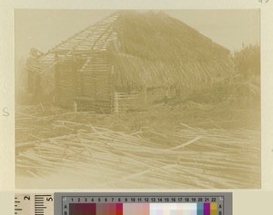 House building, Kikuyu, Kenya, ca.1901