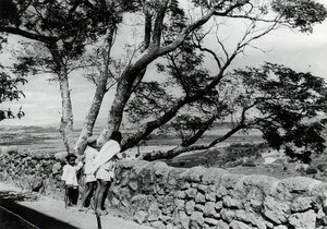 Terrace of Ampamarinana, in Madagascar