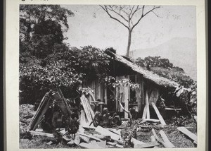 Building the hut in Nyasoso (Cameroon)